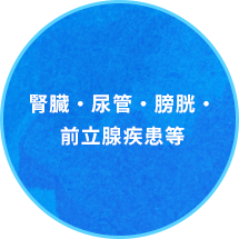 腎臓・尿管・膀胱・前立腺疾患等