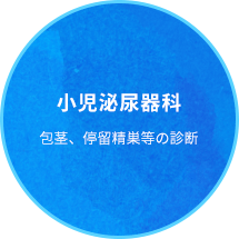 小児泌尿器科 包茎、停留精巣等の診断